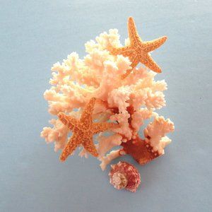 Natural white coral specimen with brown stem - aquatic - nautical - aquarium